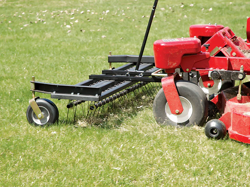 Spring & fall yard cleanup services near Alexandria & Fergus Falls