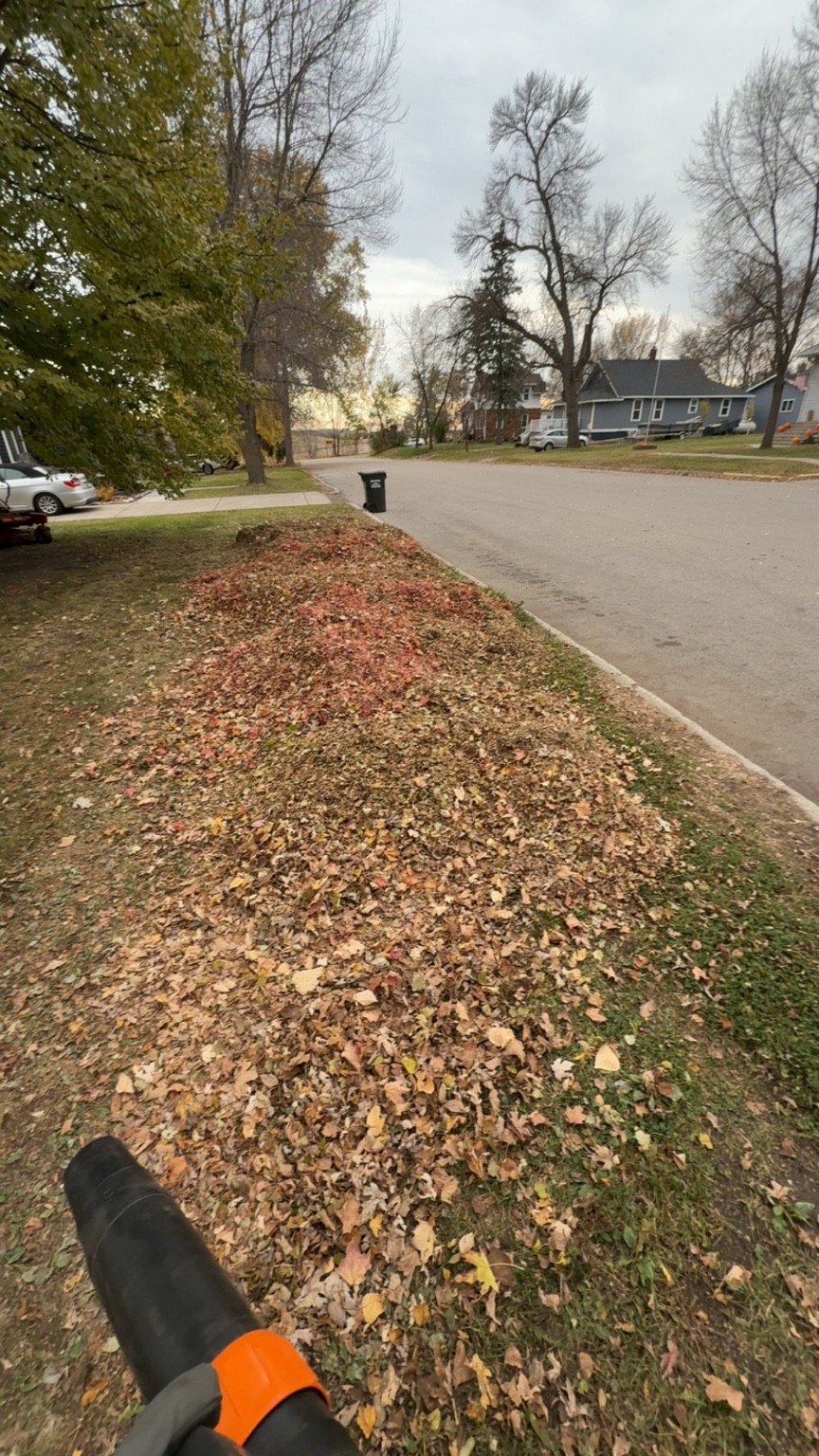 Leaf removal and fall cleanup in Ashby MN