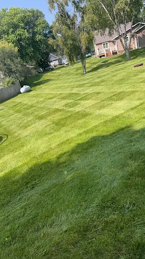 Striped lawn near Ashby MN