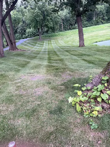 Lawn stripes in Fergus Falls MN