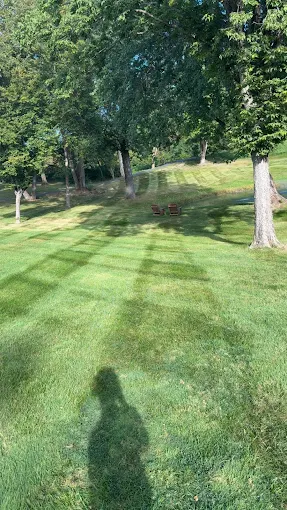 Close-up lawn striping pattern